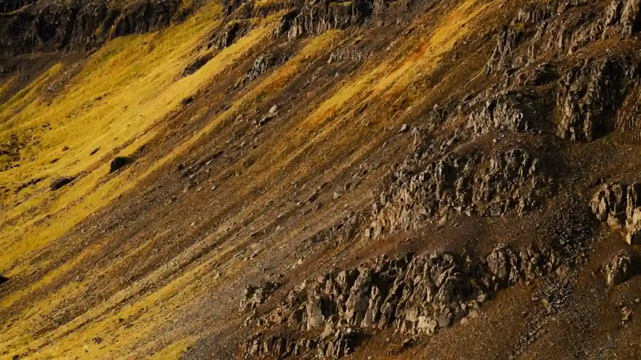 快播种子地址曾经的网络资源获取方式
